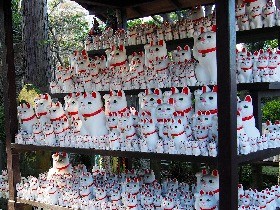 招き猫のルーツを探る　 ささやかな庶民の願いこめ、化け続ける