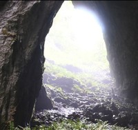 「羅生門」は「羅生門」でも、こちらは自然が生んだ芸術！