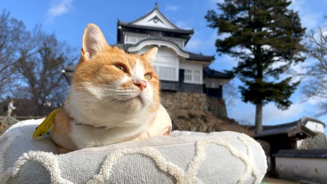 台湾の人気インフルエンサー招へい　岡山県の魅力を発信