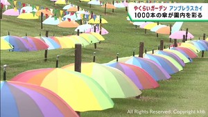 色とりどりのアンブレラスカイが彩りを　宮城・やくらいガーデン