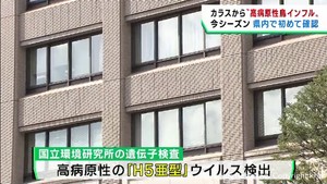 カラスから今季初の高病原性鳥インフルエンザ　宮城・大崎市