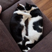 ずっと一緒にいようね