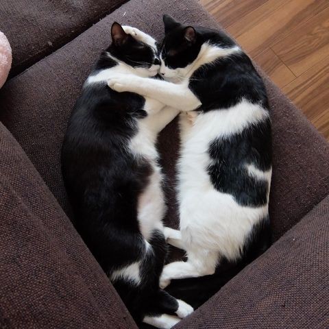 ずっと一緒にいようね