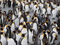 「あいつは空気が読めない」でも空気の読み方を教えてくれた人はいない