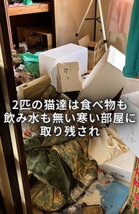 2匹の猫が食べ物お飲み水もない寒い部屋にいた(「ワンハート大阪」さん提供、Instagramよりキャプチャ撮影)