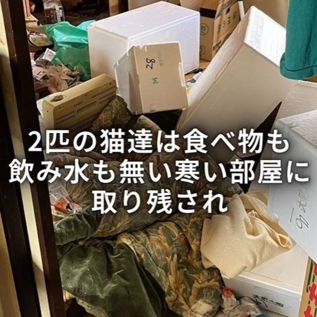 2匹の猫が食べ物お飲み水もない寒い部屋にいた(「ワンハート大阪」さん提供、Instagramよりキャプチャ撮影)