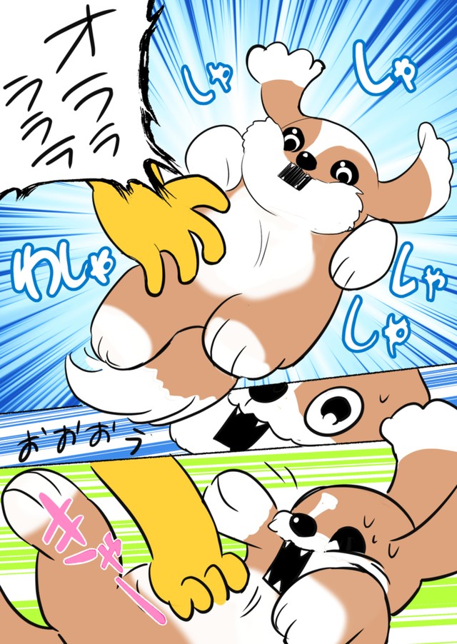 【漫画】『【続:売れ残った犬飼育日記】犬の謎仕草』3（弾正よしかげさん提供）