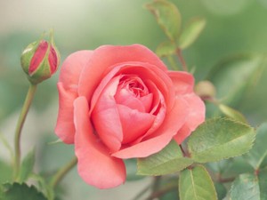 からだはこころを感じるし、こころがからだに向き合わせる