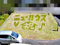 71歳父の「芝刈りアート」。飾り文字もくっきり（画像提供：March of petalsさん）