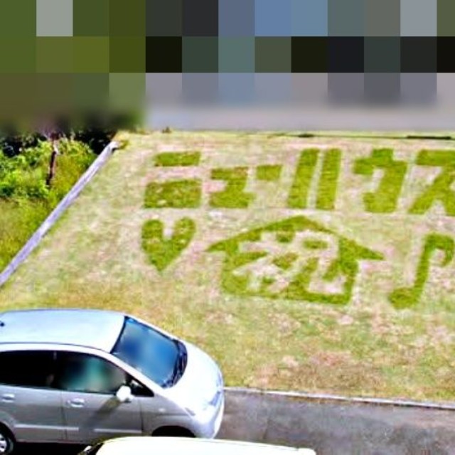 71歳父の「芝刈りアート」。飾り文字もくっきり（画像提供：March of petalsさん）