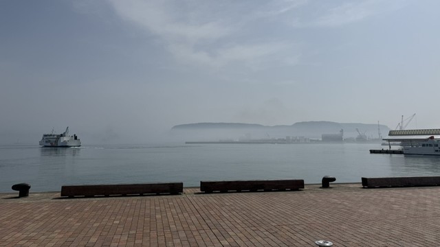 高松港（19日午前9時50分ごろ）