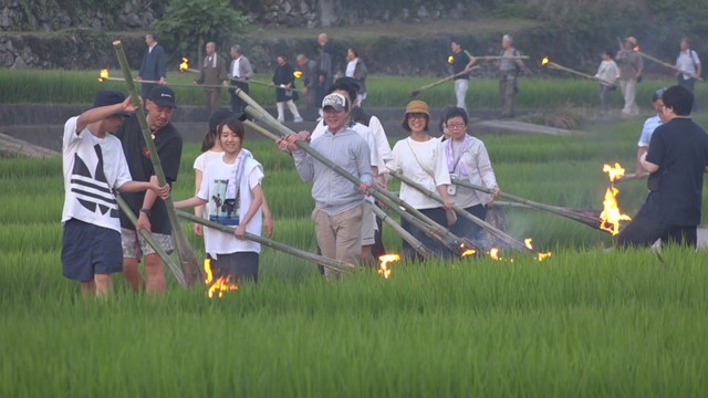 稲の害虫を追い払い豊作を祈願する伝統行事「虫送り」　香川・小豆島　7月2日