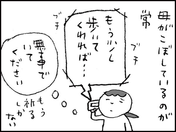 母がこぼしているのが常「もう少し歩いてくれれば・・・」ブチブチ『無事でいてください』もう祈るしかない
