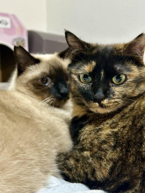 寄り添い合うナッツくんとサラミちゃん