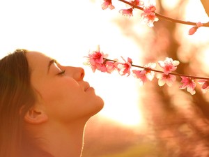 五感をバランスよく使えるのは人間だけ　知っているようで知らない嗅覚の世界