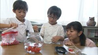 【特集】カサゴの耳石、トマトの見極め方…発想豊かな小学生の自由研究に注目！
