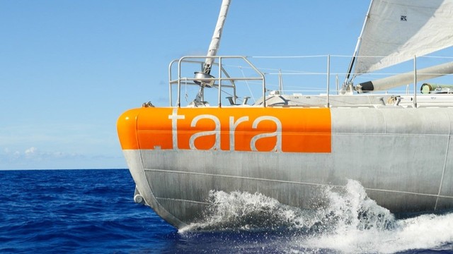 科学探査船「タラ号」4月24日から高松港に寄港　26日から粟島沖に停泊