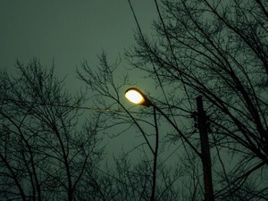 普通じゃない…私の「家族」は、血の繋がりがあるだけの他人だった。