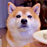 寝て1時間経っていたけれどーー光の速さで起きたくまきちくん（画像提供：kumakichi_techさん）