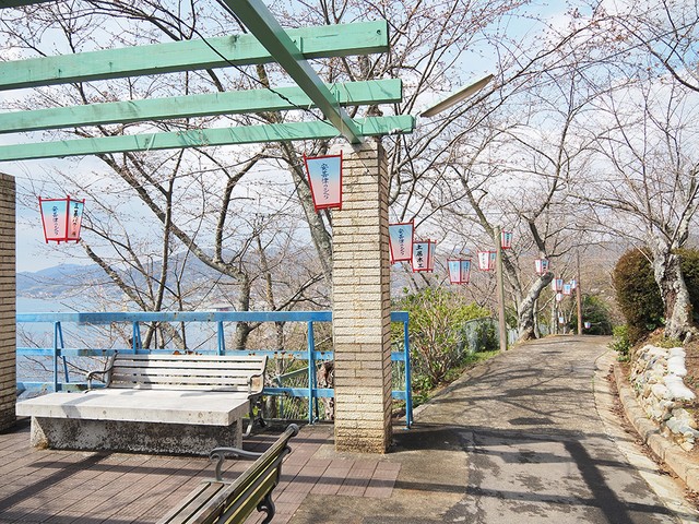 花見の準備が進む正福寺山公園