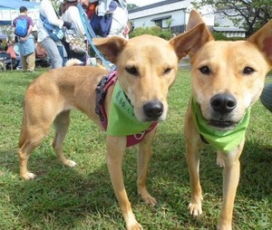 真綾ちゃん(左)とお兄ちゃんのマー君