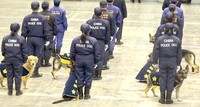 体調不良で倒れた警官と救護の方が退席した後も、心配そうに見守るゴールデンレトリーバーとジャーマンシェパードさん（動画からキャプチャー／提供：ゆるふわ怪電波☆埼玉さん）