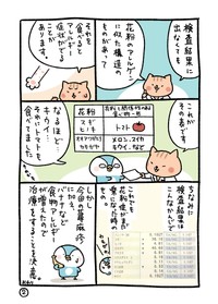 【漫画】『花粉症との戦いの歴史～そして治療まで～』9(C)桐谷とうしろう