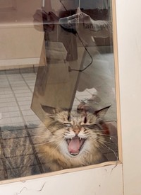 ヤスリがけも見守ってくれました