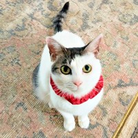 きゅるんとした瞳のグミちゃん（画像提供：山口夏実さん）