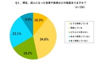 現在、成人になった自覚や実感はどの程度ありますか？（提供画像）