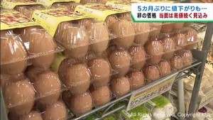 卵の卸売価格は前月下回るも当面は高値で推移か