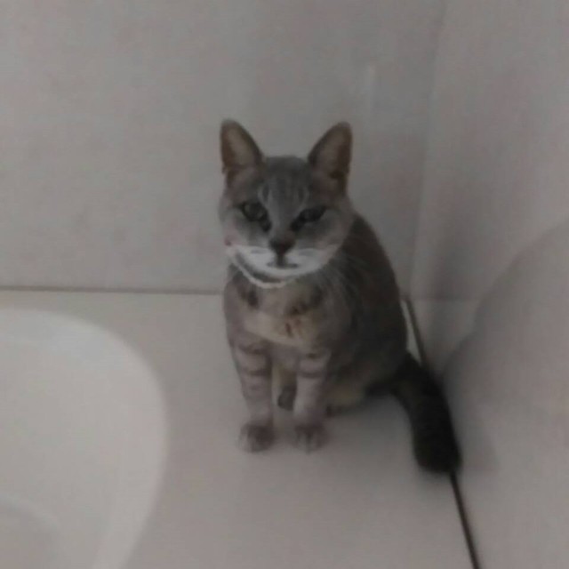 お風呂場もお気に入りの場所のひとつ