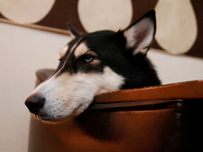 奇跡の寝落ち寸前の鼻水ショット
