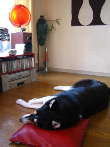 休日のおっさんにしか見えない