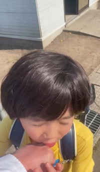 お父さんの手を舐めようとすることも／投稿主さん提供