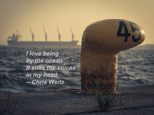 【英語で名言】映画監督クリス・ワイツが海に向かう、その理由