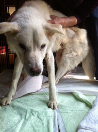 最後までしっかりお世話してもらい、天国へ