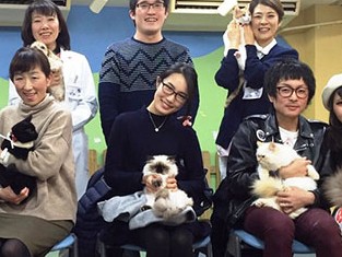 猫の習性を理解してハッピーに　子猫を飼い始める時の注意点