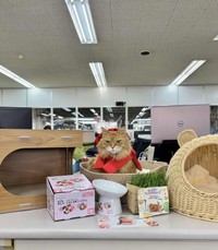 プレゼントに囲まれてご満悦（画像提供：三協精器）