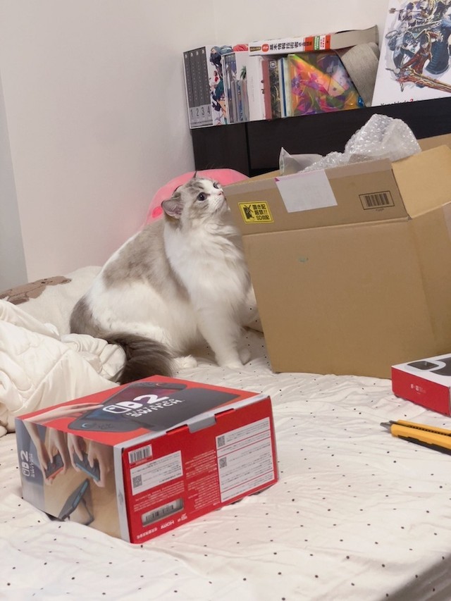 待望の「Switch 2」が到着！しかし愛猫の興味の的は…「猫ちゃんあるあるだ」（画像提供：レアさん）