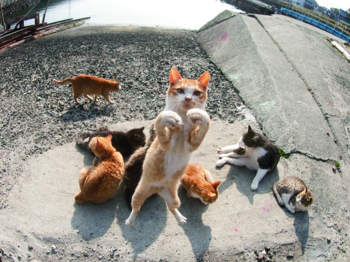 （C）Yamamoto Masayoshi