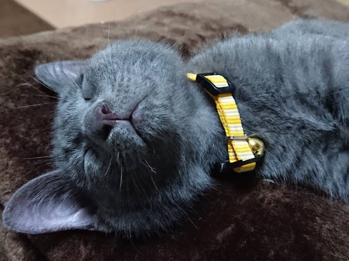 う～ん、極楽天国