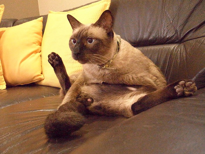 こんな格好で失礼します