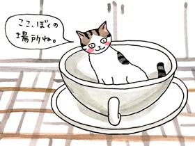 今でも思い出す　そうめんを前に宇宙一可愛い顔をする猫の「クッキー」