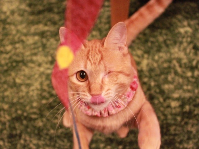 狙って狙って～