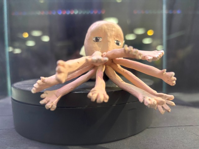 （魚津水族館提供）