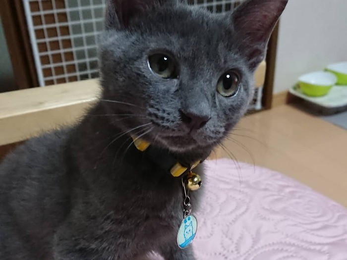 きれいな瞳が愛くるしい