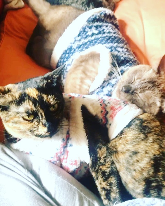 お母さんが帰宅したらベッドが占拠されていた