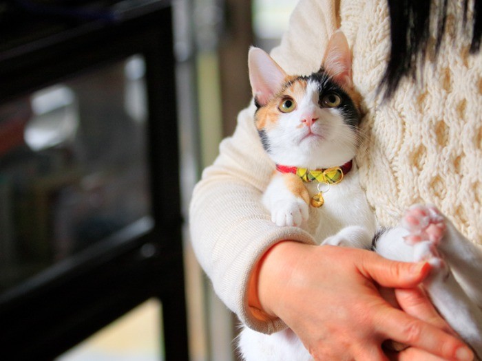 不思議系少女、天然キャラで家族を和ませてくれるフロリーヌ。