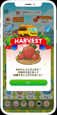 作物によって異なるが1か月くらいで収穫できる（画像提供：カウシェ）